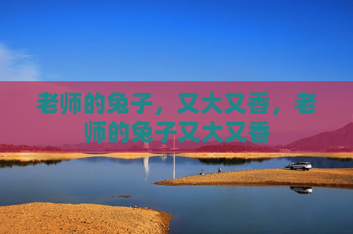 老师的兔子，又大又香，老师的兔子又大又香