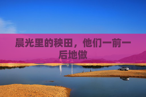 晨光里的秧田,他们一前一后地做 晨光里的秧田,他们一前一后地做