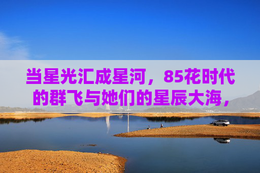 当星光汇成星河,85花时代的群飞与她们的星辰大海,星光汇星河,85花群飞赴星辰大海 当星光汇成星河,85花时代的群飞与她们的星辰大海,星光汇星河,85花群飞赴星辰大海