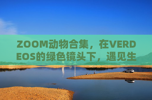 ZOOM动物合集,在VERDEOS的绿色镜头下,遇见生命的万千姿态,ZOOM动物合集,VERDEOS绿色镜头下的生命万千姿态 ZOOM动物合集,在VERDEOS的绿色镜头下,遇见生命的万千姿态,ZOOM动物合集,VERDEOS绿色镜头下的生命万千姿态