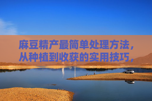 麻豆精产最简单处理方法,从种植到收获的实用技巧,麻豆精产最简单处理,从种植到收获的实用技巧 麻豆精产最简单处理方法,从种植到收获的实用技巧,麻豆精产最简单处理,从种植到收获的实用技巧