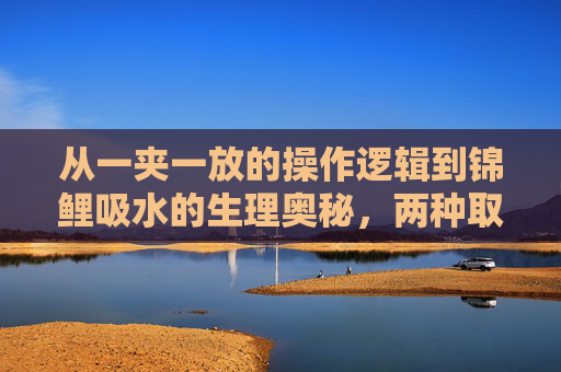从一夹一放的操作逻辑到锦鲤吸水的生理奥秘,两种取放的本质区别,两种取放的本质区别,从一夹一放到锦鲤吸水 从一夹一放的操作逻辑到锦鲤吸水的生理奥秘,两种取放的本质区别,两种取放的本质区别,从一夹一放到锦鲤吸水