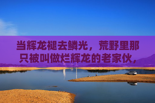 当辉龙褪去鳞光,荒野里那只被叫做烂辉龙的老家伙,褪鳞荒野,烂辉龙的老家伙 当辉龙褪去鳞光,荒野里那只被叫做烂辉龙的老家伙,褪鳞荒野,烂辉龙的老家伙