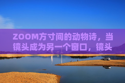 ZOOM方寸间的动物诗,当镜头成为另一个窗口,镜头为窗,方寸间的动物诗 ZOOM方寸间的动物诗,当镜头成为另一个窗口,镜头为窗,方寸间的动物诗