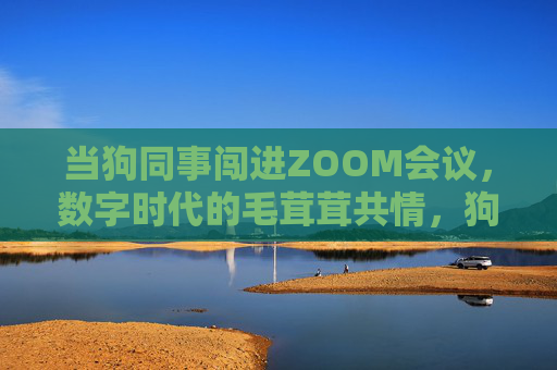 当狗同事闯进ZOOM会议,数字时代的毛茸茸共情,狗同事闯ZOOM,数字时代的毛茸茸共情 当狗同事闯进ZOOM会议,数字时代的毛茸茸共情,狗同事闯ZOOM,数字时代的毛茸茸共情