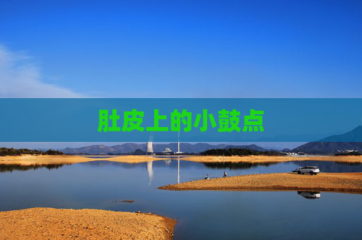 肚皮上的小鼓点 肚皮上的小鼓点