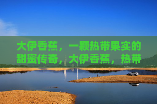 大伊香蕉，一颗热带果实的甜蜜传奇，大伊香蕉，热带果实的甜蜜传奇