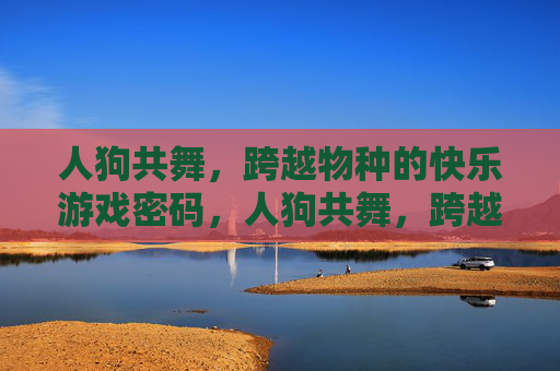 人狗共舞,跨越物种的快乐游戏密码,人狗共舞,跨越物种的快乐密码 人狗共舞,跨越物种的快乐游戏密码,人狗共舞,跨越物种的快乐密码