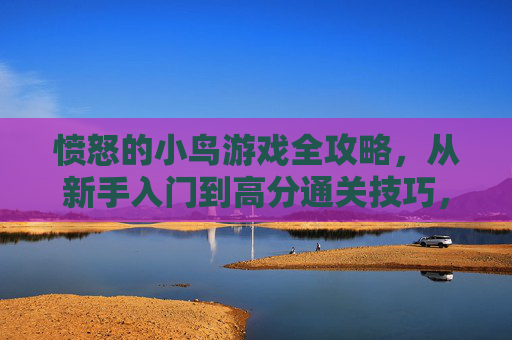 愤怒的小鸟游戏全攻略，从新手入门到高分通关技巧，愤怒的小鸟全攻略，新手入门到高分通关技巧
