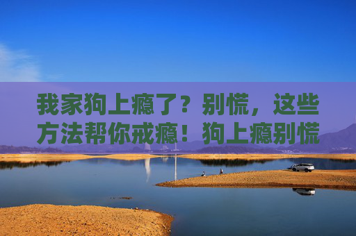 我家狗上瘾了?别慌,这些方法帮你戒瘾!狗上瘾别慌!这些方法帮你戒瘾 我家狗上瘾了?别慌,这些方法帮你戒瘾!狗上瘾别慌!这些方法帮你戒瘾