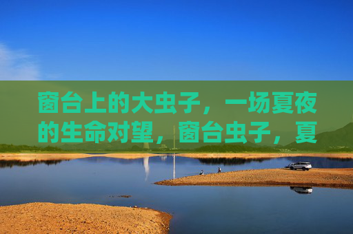 窗台上的大虫子,一场夏夜的生命对望,窗台虫子,夏夜的生命对望 窗台上的大虫子,一场夏夜的生命对望,窗台虫子,夏夜的生命对望