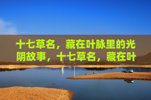 十七草名,藏在叶脉里的光阴故事,十七草名,藏在叶脉里的光阴故事 十七草名,藏在叶脉里的光阴故事,十七草名,藏在叶脉里的光阴故事