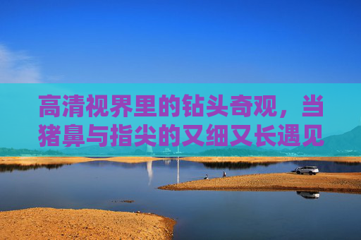 高清视界里的钻头奇观,当猪鼻与指尖的又细又长遇见生命智慧,钻头奇观,高清视界里猪鼻指尖的细长生命智慧 高清视界里的钻头奇观,当猪鼻与指尖的又细又长遇见生命智慧,钻头奇观,高清视界里猪鼻指尖的细长生命智慧