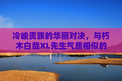 冷峻贵族的华丽对决,与朽木白哉XL先生气质相似的动漫角色推荐,冷峻贵族的华丽对决,与朽木白哉气质相似的动漫角色推荐 冷峻贵族的华丽对决,与朽木白哉XL先生气质相似的动漫角色推荐,冷峻贵族的华丽对决,与朽木白哉气质相似的动漫角色推荐