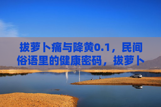 拔萝卜痛与降黄0.1,民间俗语里的健康密码,拔萝卜痛与降黄0.1,民间俗语的健康密码 拔萝卜痛与降黄0.1,民间俗语里的健康密码,拔萝卜痛与降黄0.1,民间俗语的健康密码