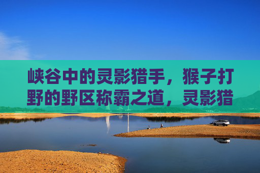 峡谷中的灵影猎手,猴子打野的野区称霸之道,灵影猎手,猴子打野的野区称霸之道 峡谷中的灵影猎手,猴子打野的野区称霸之道,灵影猎手,猴子打野的野区称霸之道