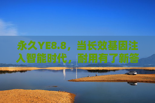 永久YE8.8,当长效基因注入智能时代,耐用有了新答案,长效基因注入智能时代,耐用新答案 永久YE8.8,当长效基因注入智能时代,耐用有了新答案,长效基因注入智能时代,耐用新答案