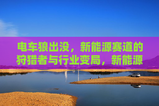 电车狼出没,新能源赛道的狩猎者与行业变局,新能源赛道,电车狼狩猎者与行业变局 电车狼出没,新能源赛道的狩猎者与行业变局,新能源赛道,电车狼狩猎者与行业变局