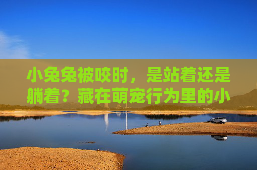 小兔兔被咬时，是站着还是躺着？藏在萌宠行为里的小心机，小兔兔被咬姿态暗藏萌宠小心机