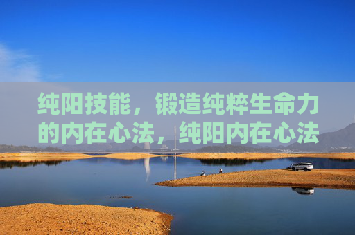 纯阳技能,锻造纯粹生命力的内在心法,纯阳内在心法,锻造纯粹生命力的核心 纯阳技能,锻造纯粹生命力的内在心法,纯阳内在心法,锻造纯粹生命力的核心