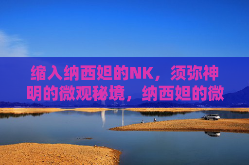 缩入纳西妲的NK，须弥神明的微观秘境，纳西妲的微观秘境