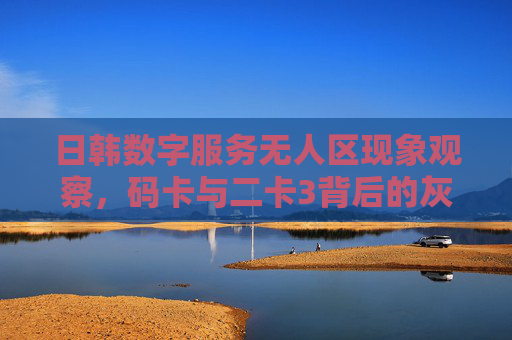 日韩数字服务无人区现象观察，码卡与二卡3背后的灰色地带，日韩数字服务无人区，码卡与二卡3背后的灰色地带