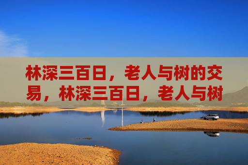 林深三百日，老人与树的交易，林深三百日，老人与树的秘约