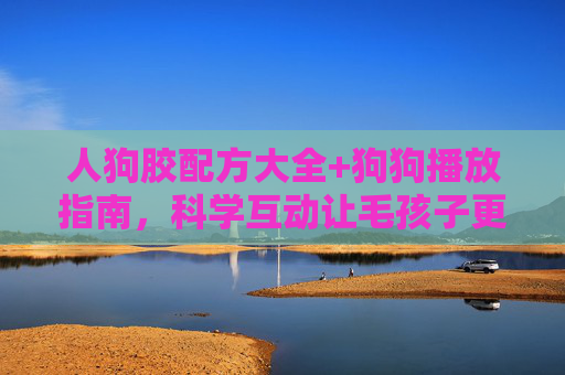 人狗胶配方大全+狗狗播放指南,科学互动让毛孩子更爱你,科学人狗胶配方与狗狗播放指南,让毛孩子更爱你 人狗胶配方大全+狗狗播放指南,科学互动让毛孩子更爱你,科学人狗胶配方与狗狗播放指南,让毛孩子更爱你