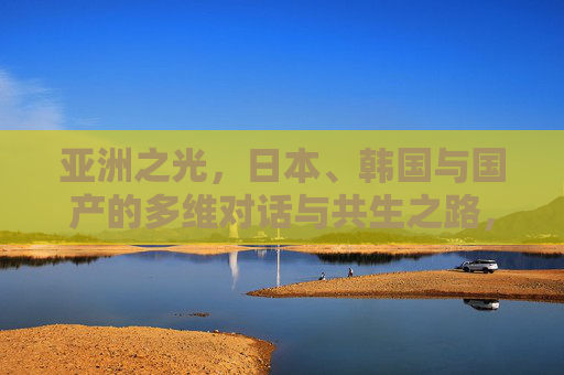 亚洲之光,日本、韩国与国产的多维对话与共生之路,亚洲之光,中日韩多维对话与共生之路 亚洲之光,日本、韩国与国产的多维对话与共生之路,亚洲之光,中日韩多维对话与共生之路