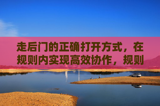 走后门的正确打开方式,在规则内实现高效协作,规则内的高效协作,走后门的正确打开方式 走后门的正确打开方式,在规则内实现高效协作,规则内的高效协作,走后门的正确打开方式