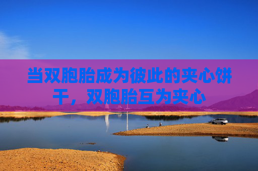 当双胞胎成为彼此的夹心饼干,双胞胎互为夹心 当双胞胎成为彼此的夹心饼干,双胞胎互为夹心