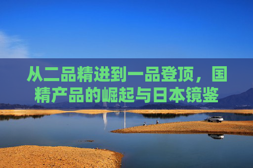 从二品精进到一品登顶,国精产品的崛起与日本镜鉴 从二品精进到一品登顶,国精产品的崛起与日本镜鉴