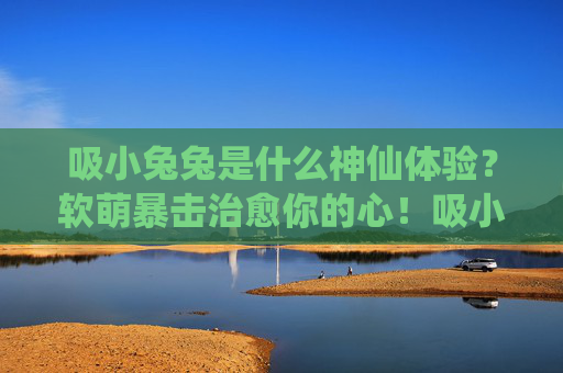 吸小兔兔是什么神仙体验?软萌暴击治愈你的心!吸小兔兔,软萌暴击治愈心! 吸小兔兔是什么神仙体验?软萌暴击治愈你的心!吸小兔兔,软萌暴击治愈心!