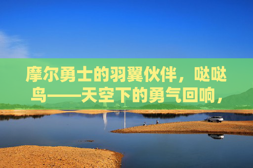 摩尔勇士的羽翼伙伴,哒哒鸟——天空下的勇气回响,摩尔勇士的羽翼伙伴,哒哒鸟的天空勇气回响 摩尔勇士的羽翼伙伴,哒哒鸟——天空下的勇气回响,摩尔勇士的羽翼伙伴,哒哒鸟的天空勇气回响