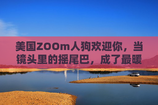 美国ZOOm人狗欢迎你,当镜头里的摇尾巴,成了最暖的见面礼,镜头摇尾巴,人狗最暖见面礼 美国ZOOm人狗欢迎你,当镜头里的摇尾巴,成了最暖的见面礼,镜头摇尾巴,人狗最暖见面礼