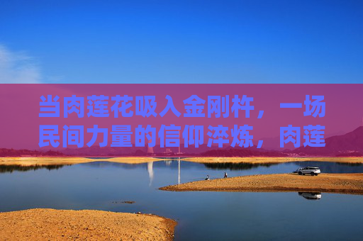 当肉莲花吸入金刚杵,一场民间力量的信仰淬炼,肉莲花纳金刚杵,民间信仰的淬炼 当肉莲花吸入金刚杵,一场民间力量的信仰淬炼,肉莲花纳金刚杵,民间信仰的淬炼