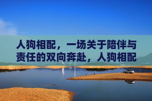 人狗相配，一场关于陪伴与责任的双向奔赴，人狗相配，陪伴与责任的双向奔赴