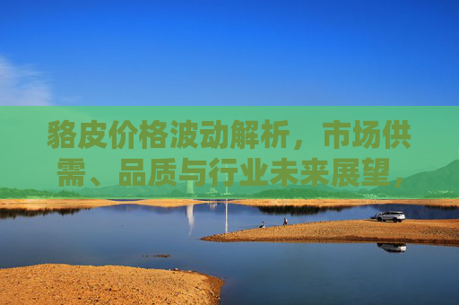 貉皮价格波动解析，市场供需、品质与行业未来展望，貉皮价格波动解析，市场供需、品质与行业未来展望