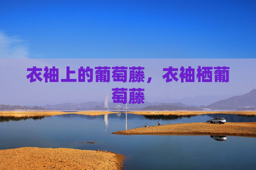 衣袖上的葡萄藤，衣袖栖葡萄藤
