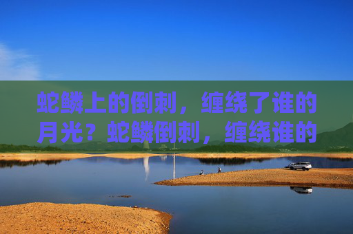 蛇鳞上的倒刺,缠绕了谁的月光?蛇鳞倒刺,缠绕谁的月光? 蛇鳞上的倒刺,缠绕了谁的月光?蛇鳞倒刺,缠绕谁的月光?