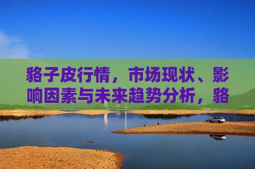 貉子皮行情,市场现状、影响因素与未来趋势分析,貉子皮行情,市场现状、影响因素与未来趋势分析 貉子皮行情,市场现状、影响因素与未来趋势分析,貉子皮行情,市场现状、影响因素与未来趋势分析