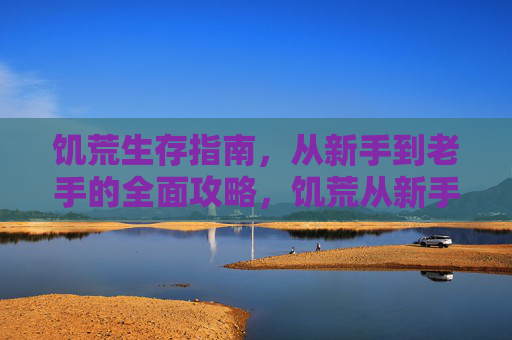 饥荒生存指南,从新手到老手的全面攻略,饥荒从新手到老手生存全攻略 饥荒生存指南,从新手到老手的全面攻略,饥荒从新手到老手生存全攻略