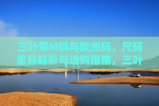 三叶草M码与欧洲码,尺码差异解析与选购指南,三叶草M码与欧洲码尺码差异解析及选购指南 三叶草M码与欧洲码,尺码差异解析与选购指南,三叶草M码与欧洲码尺码差异解析及选购指南