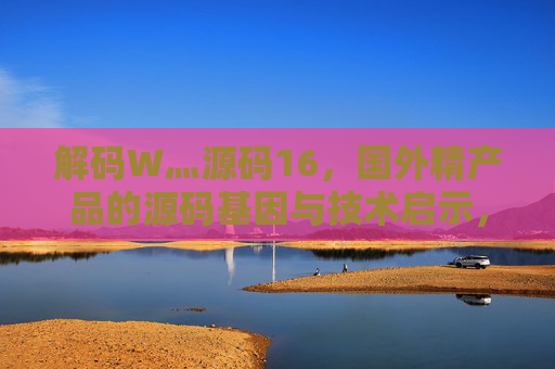 解码W灬源码16，国外精产品的源码基因与技术启示，解码W灬源码16，国外精产品的源码基因与技术启示