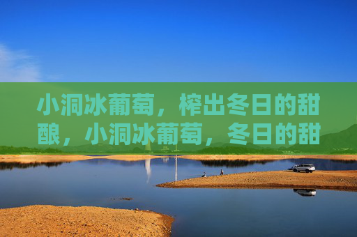 小洞冰葡萄,榨出冬日的甜酿,小洞冰葡萄,冬日的甜酿 小洞冰葡萄,榨出冬日的甜酿,小洞冰葡萄,冬日的甜酿