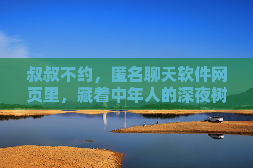 叔叔不约，匿名聊天软件网页里，藏着中年人的深夜树洞，叔叔不约，匿名聊天软件，中年人的深夜树洞