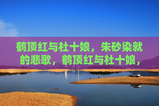 鹤顶红与杜十娘,朱砂染就的悲歌,鹤顶红与杜十娘,朱砂染就的悲歌 鹤顶红与杜十娘,朱砂染就的悲歌,鹤顶红与杜十娘,朱砂染就的悲歌