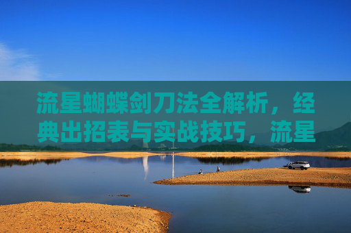 流星蝴蝶剑刀法全解析，经典出招表与实战技巧，流星蝴蝶剑刀法全解析，经典出招表与实战技巧