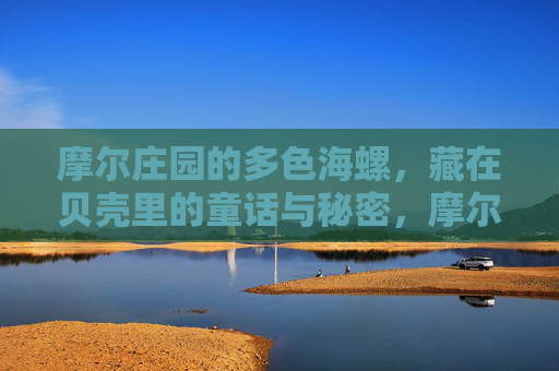 摩尔庄园的多色海螺,藏在贝壳里的童话与秘密,摩尔庄园的多色海螺,贝壳里的童话与秘密 摩尔庄园的多色海螺,藏在贝壳里的童话与秘密,摩尔庄园的多色海螺,贝壳里的童话与秘密