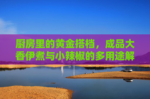 厨房里的黄金搭档,成品大香伊煮与小辣椒的多用途解锁,厨房黄金搭档,大香伊煮与小辣椒的多用途解锁 厨房里的黄金搭档,成品大香伊煮与小辣椒的多用途解锁,厨房黄金搭档,大香伊煮与小辣椒的多用途解锁